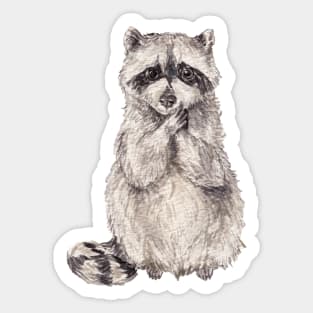 Cute watercolor raccoon Sticker